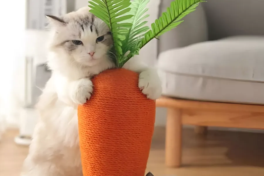 Vegetable Theme Cat Tower